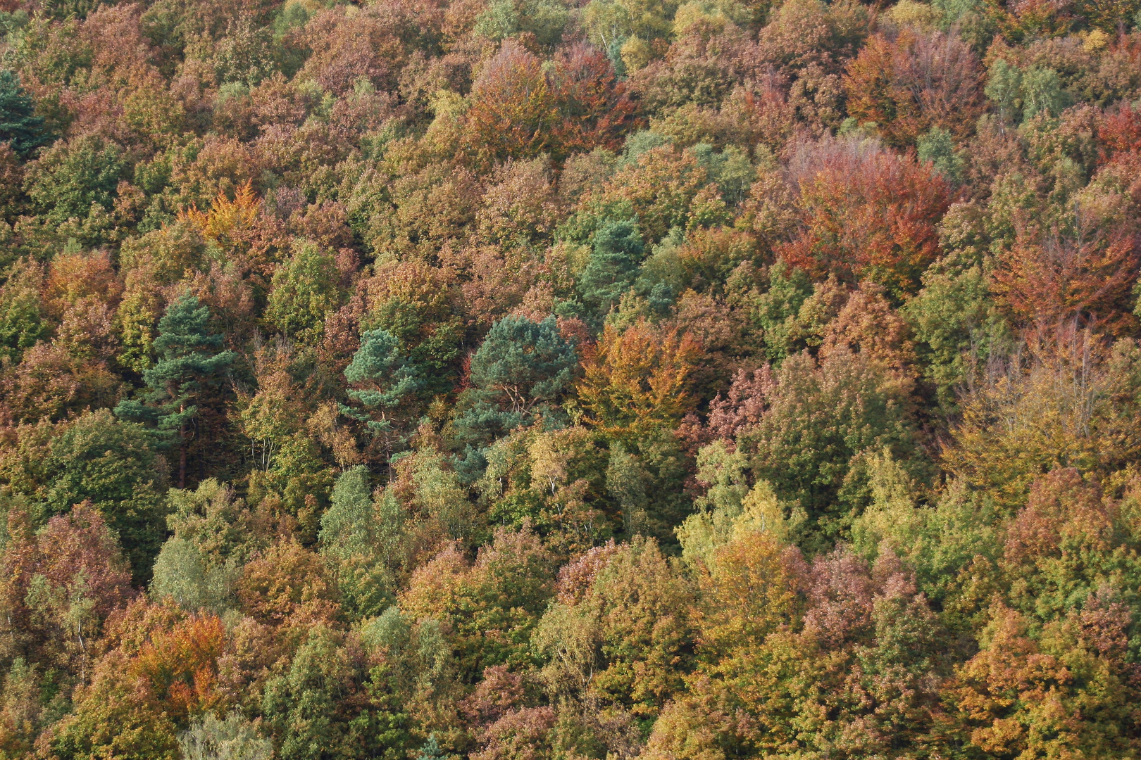 Herbstfarben (IMG_0494_ji)