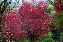 Herbstfarben - Impressionen