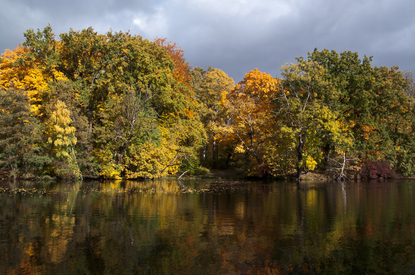 Herbstfarben in Berlin