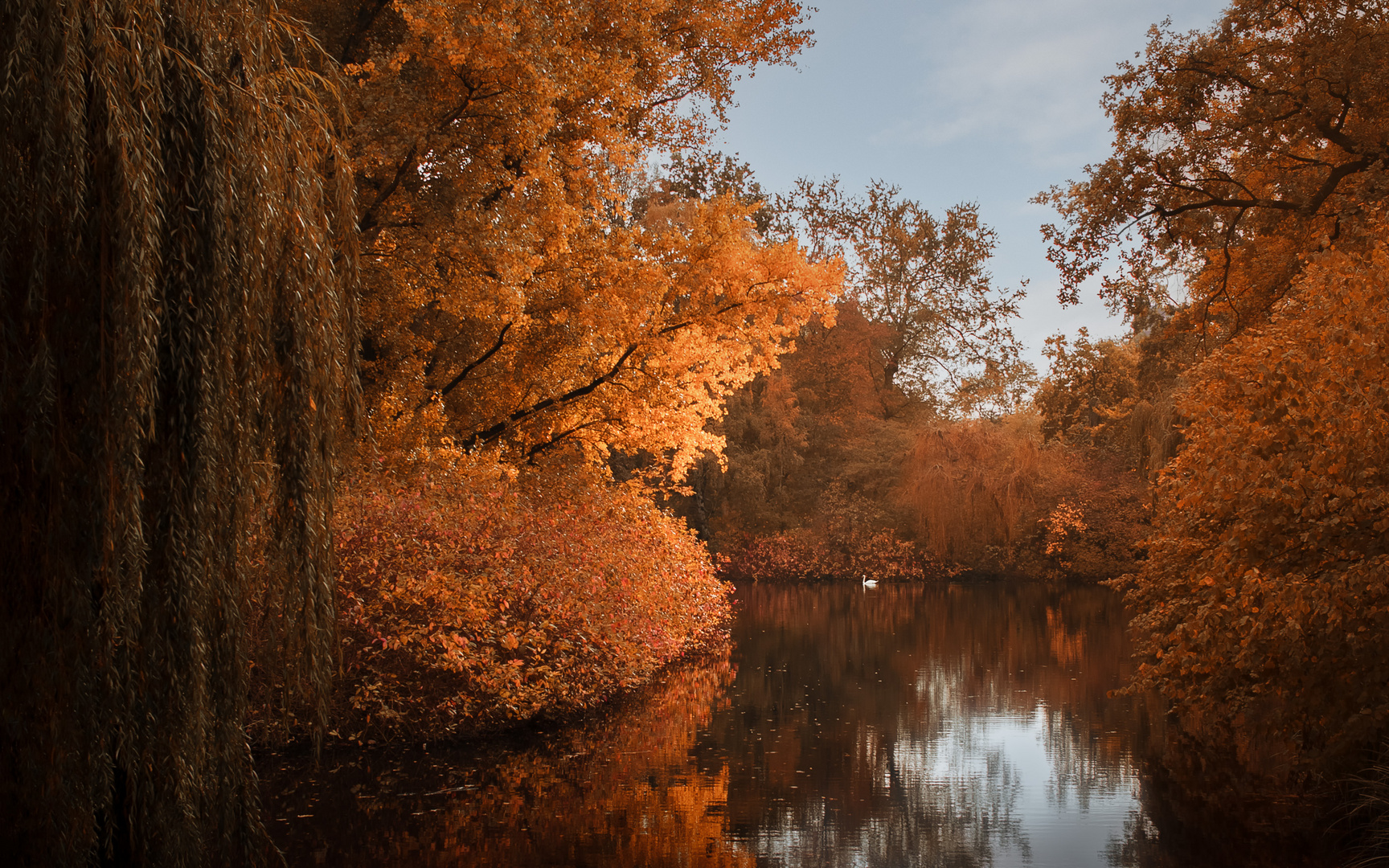 Herbstfarben in Berlin