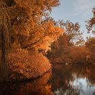 Herbstfarben in Berlin