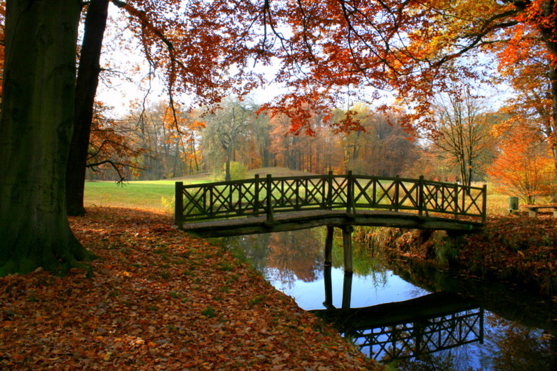 Herbstfarben in Branitz bei Cottbus