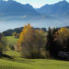 Herbstfarben in den Bergen