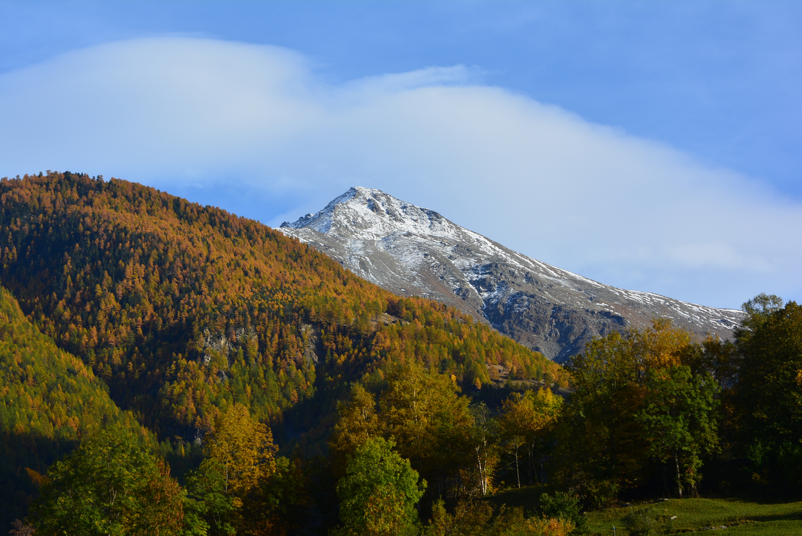 Herbstfarben in den Bergen