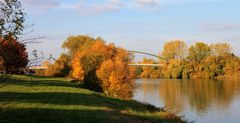 Herbstfarben in der Abendsonne