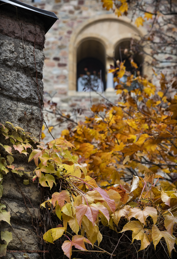 Herbstfarben in der Altstadt - Mainz | November 2021