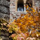 Herbstfarben in der Altstadt - Mainz | November 2021