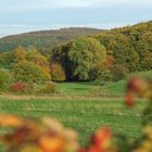 Herbstfarben in der Eifel