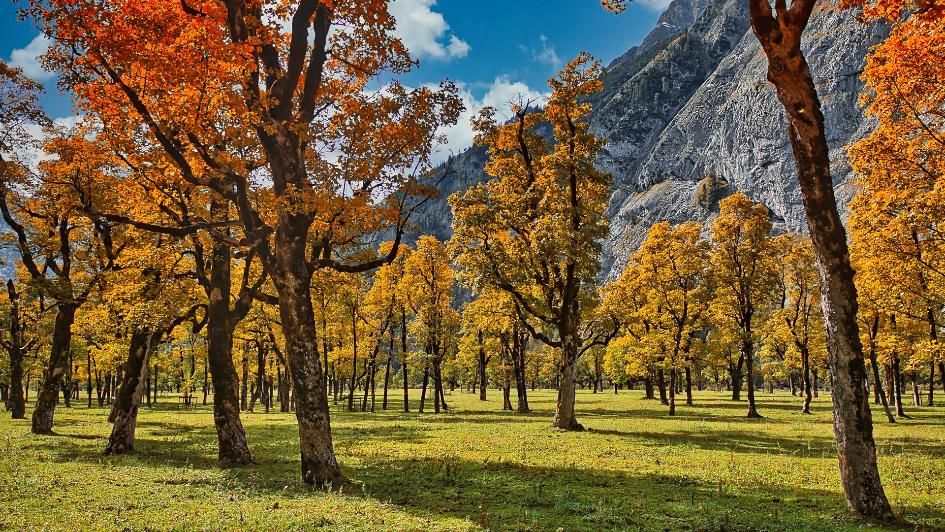 Herbstfarben in der Eng