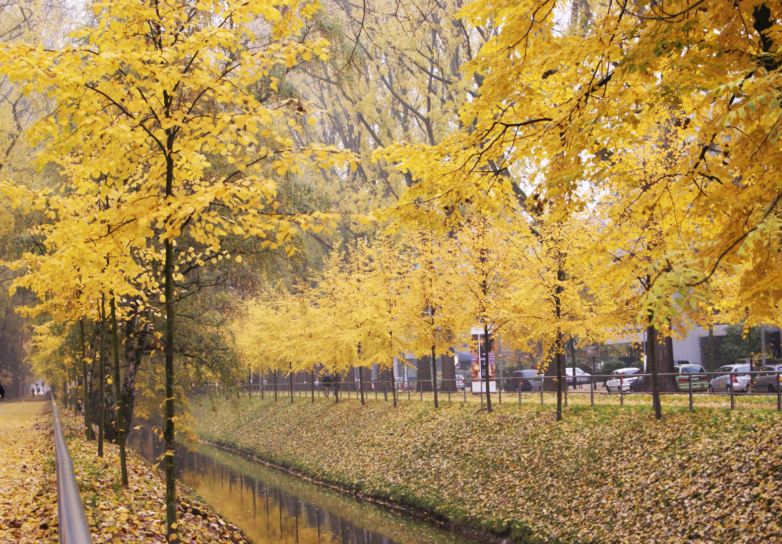 Herbstfarben in der Großstadt Düsseldorf