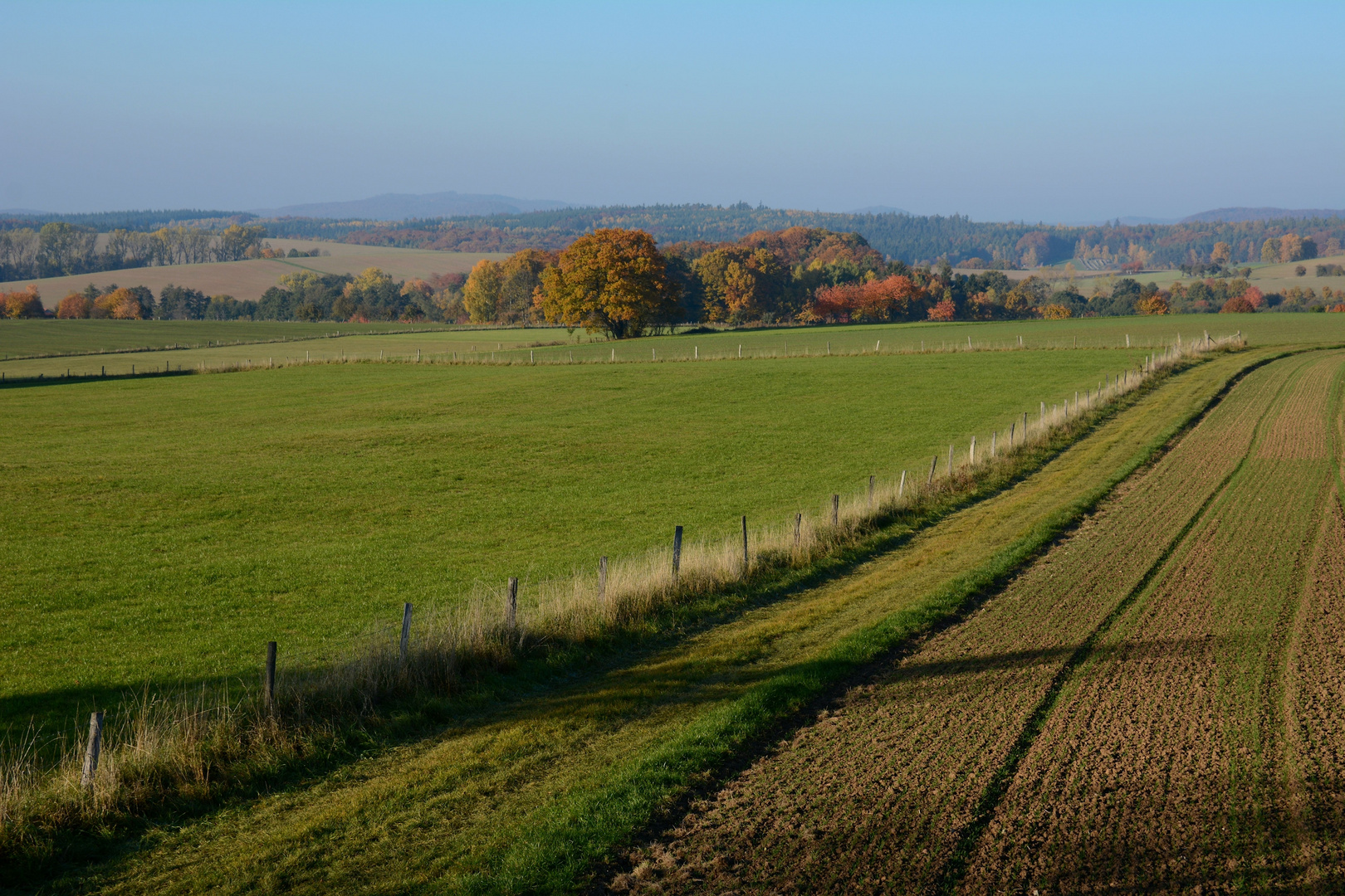 Herbstfarben in der Natur