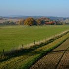 Herbstfarben in der Natur