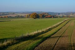 Herbstfarben in der Natur