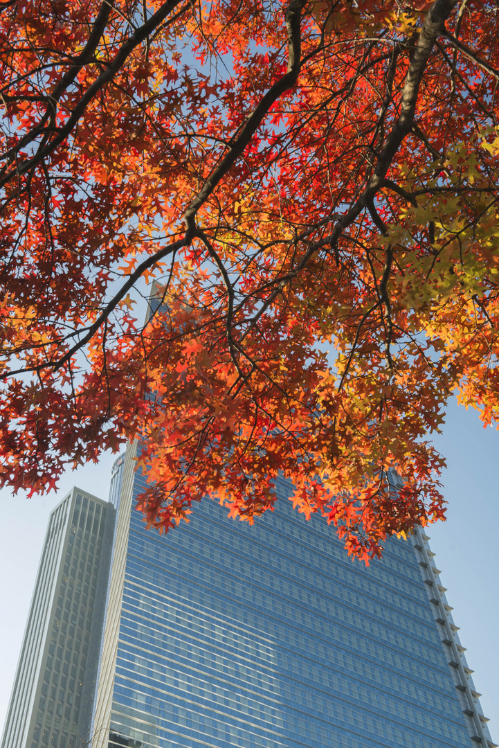 Herbstfarben in der Stadt