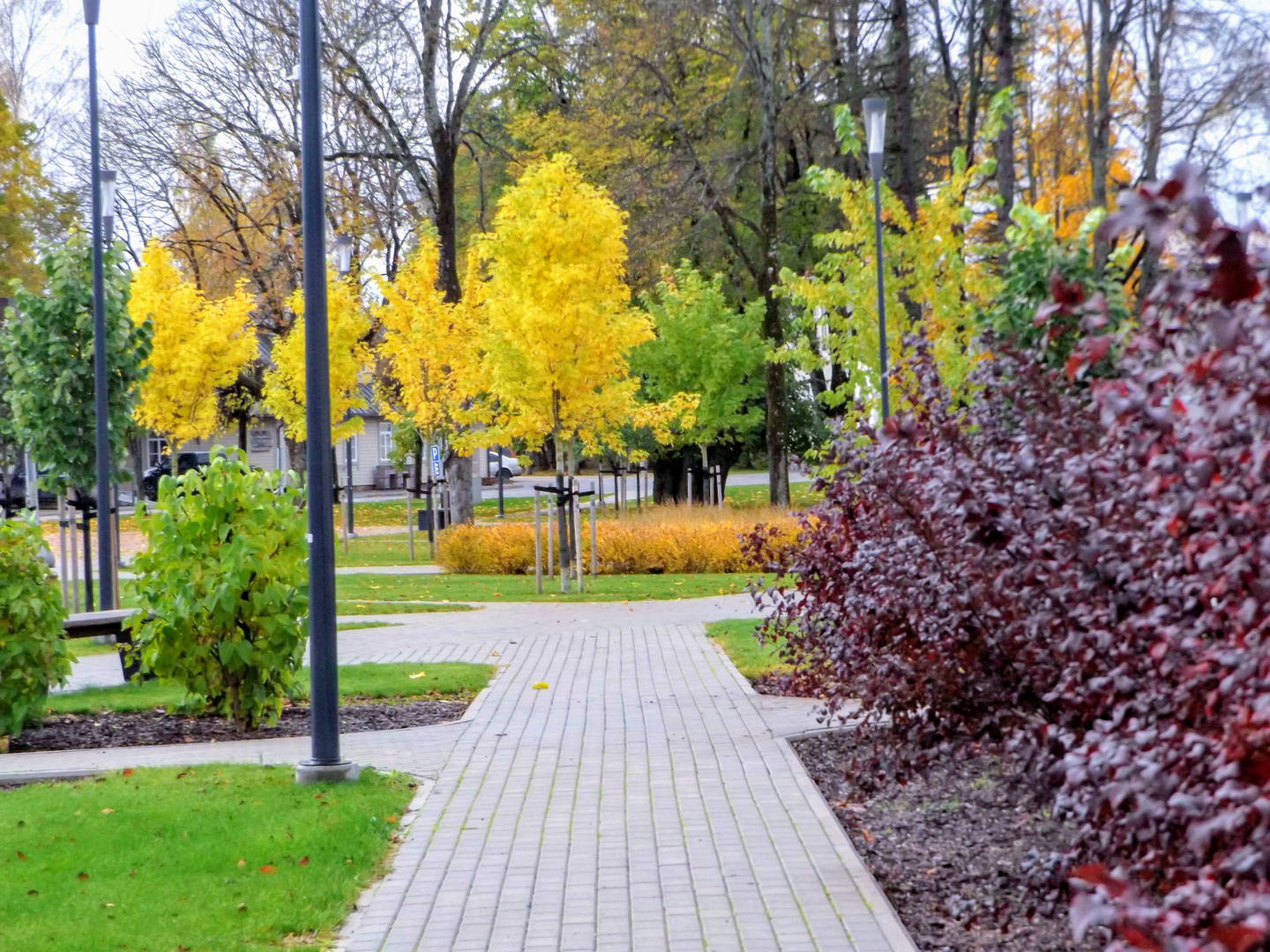 Herbstfarben in der Stadt