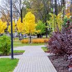 Herbstfarben in der Stadt