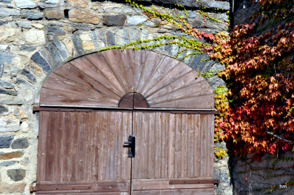 Herbstfarben in der Wachau