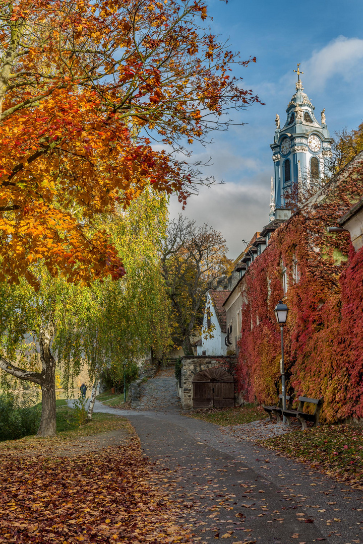 Herbstfarben in Dürnstein