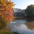 Herbstfarben in Düsseldorf