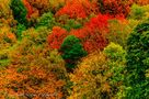 Herbstfarben in Düsseldorf by michael jaster 