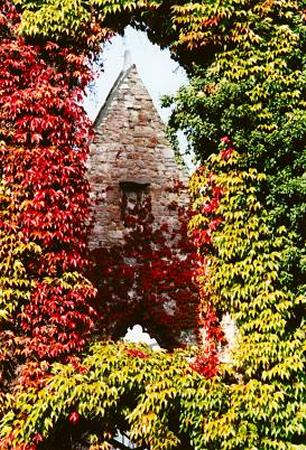 Herbstfarben in Hannover