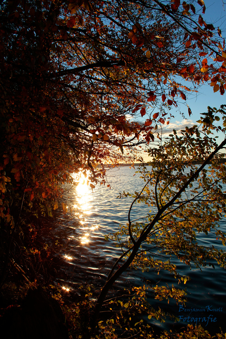 Herbstfarben in Ihrer Vielfalt