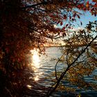 Herbstfarben in Ihrer Vielfalt