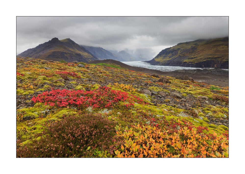 Herbstfarben in Island