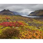 Herbstfarben in Island