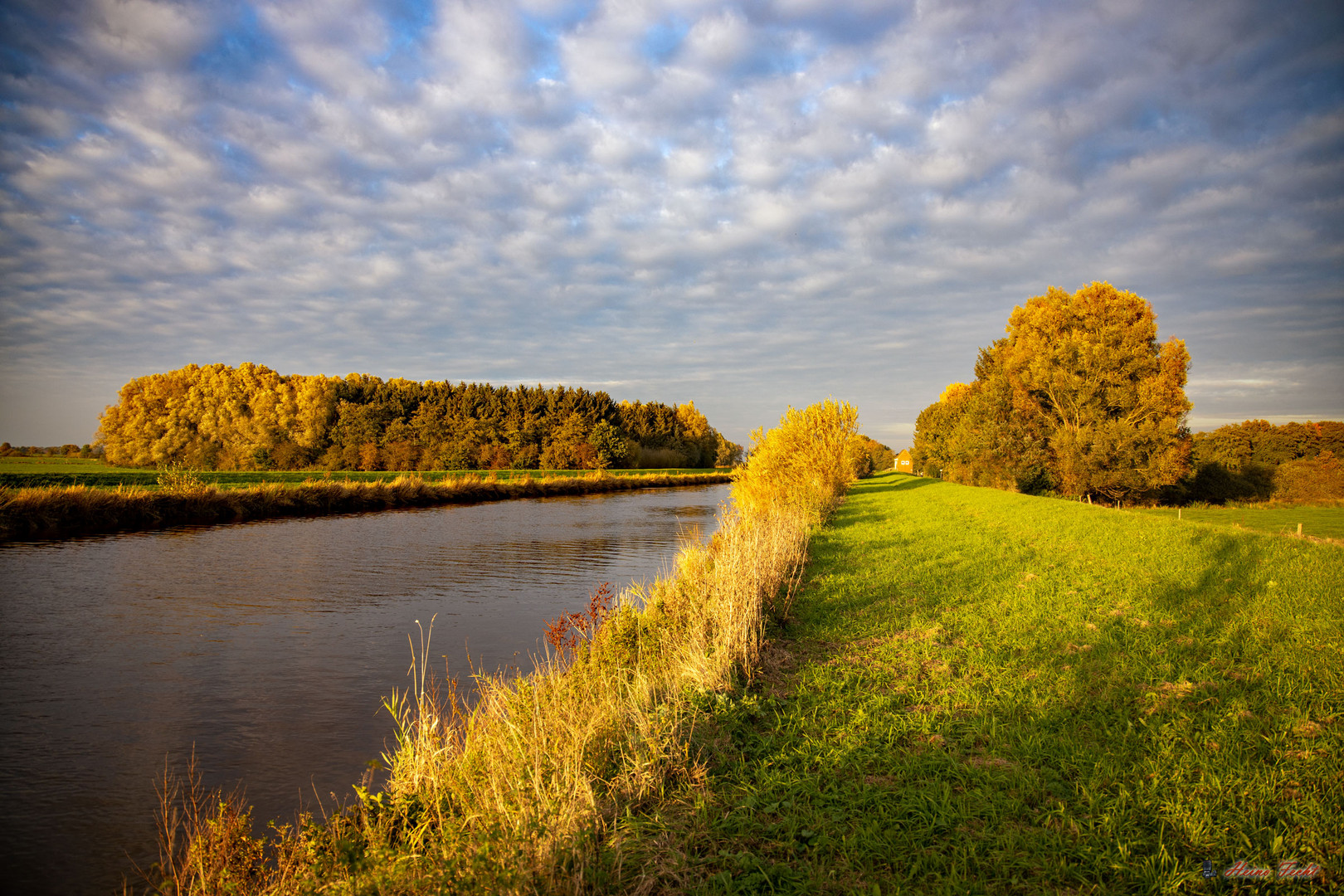 Herbstfarben in Kleinscharrel