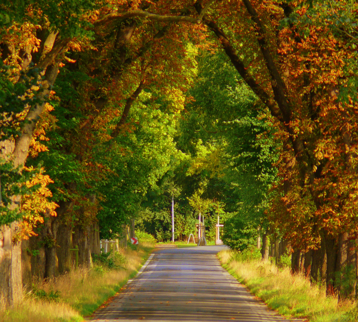 Herbstfarben in Löhne