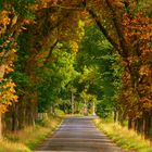 Herbstfarben in Löhne