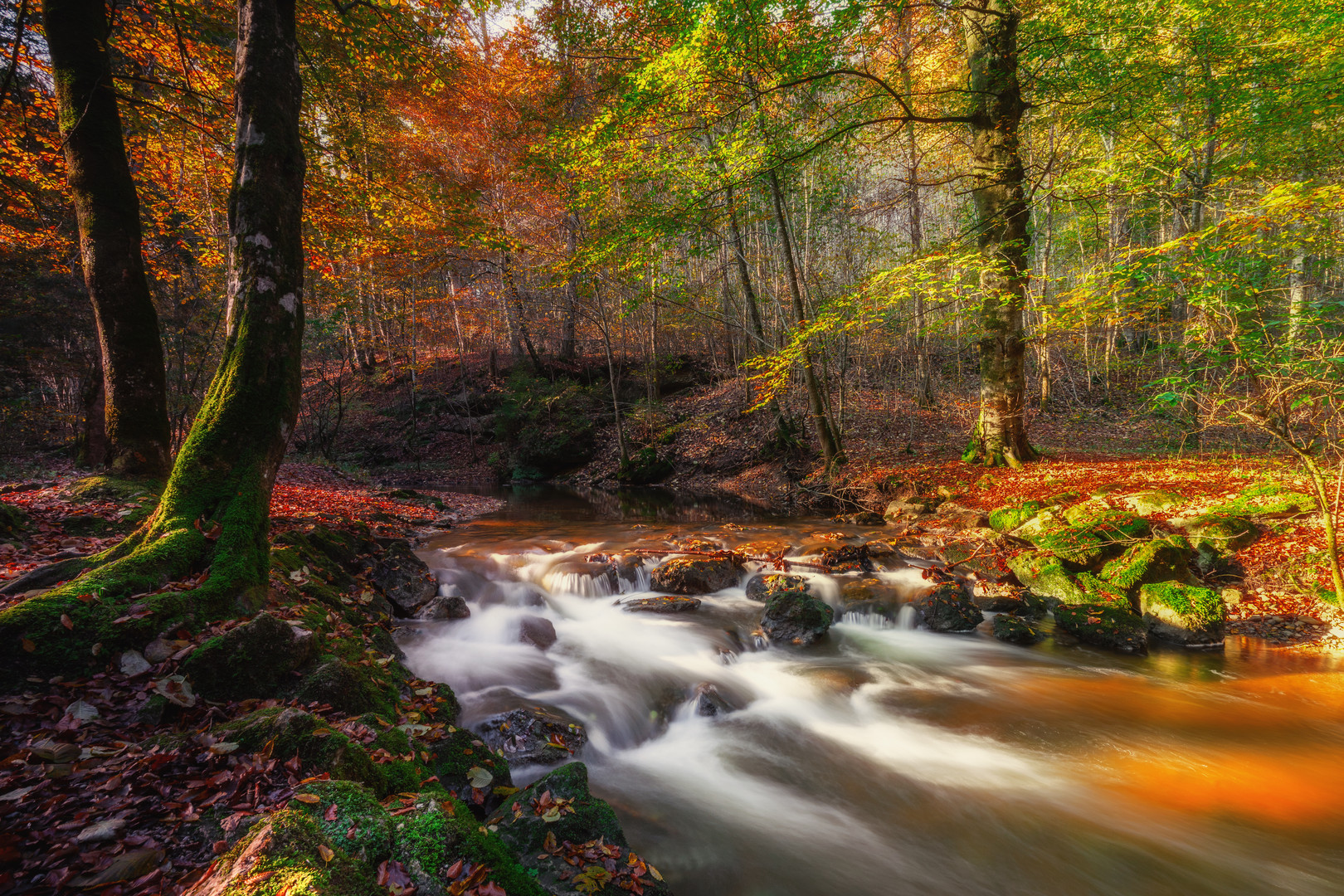 Herbstfarben in Maisinger-Schlucht