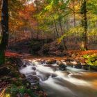 Herbstfarben in Maisinger-Schlucht