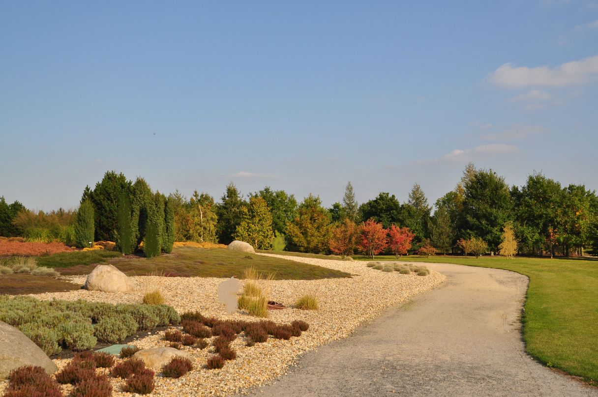 Herbstfarben in Nochten