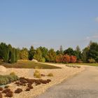 Herbstfarben in Nochten