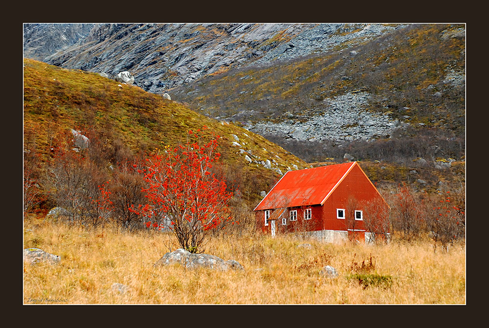 Herbstfarben in Norwegen