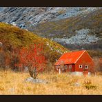 Herbstfarben in Norwegen