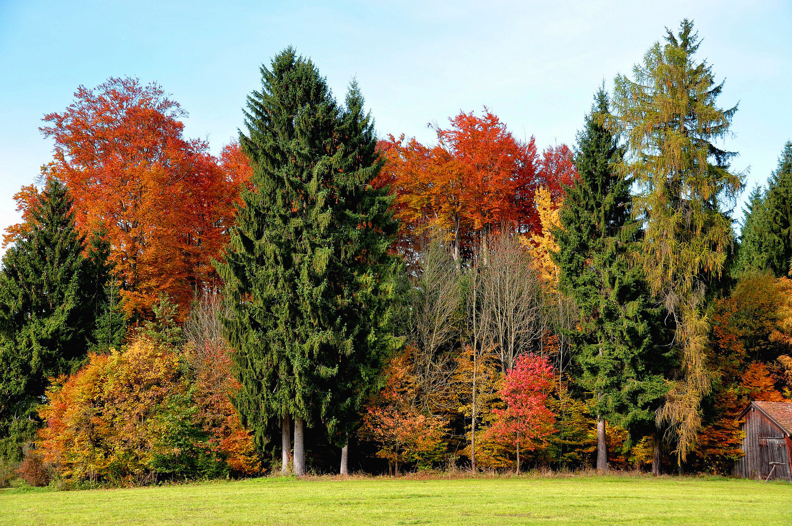 Herbstfarben in Oberbayern