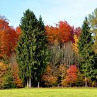 Herbstfarben in Oberbayern