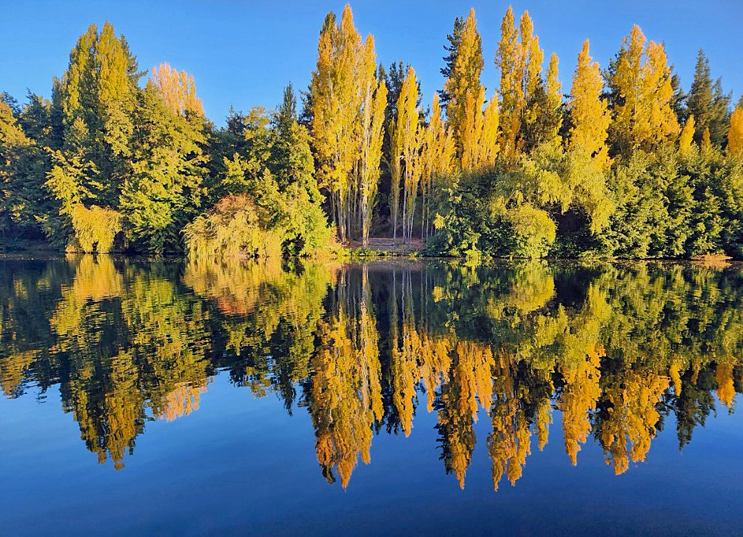 Herbstfarben in Patagonien