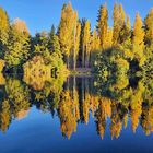 Herbstfarben in Patagonien