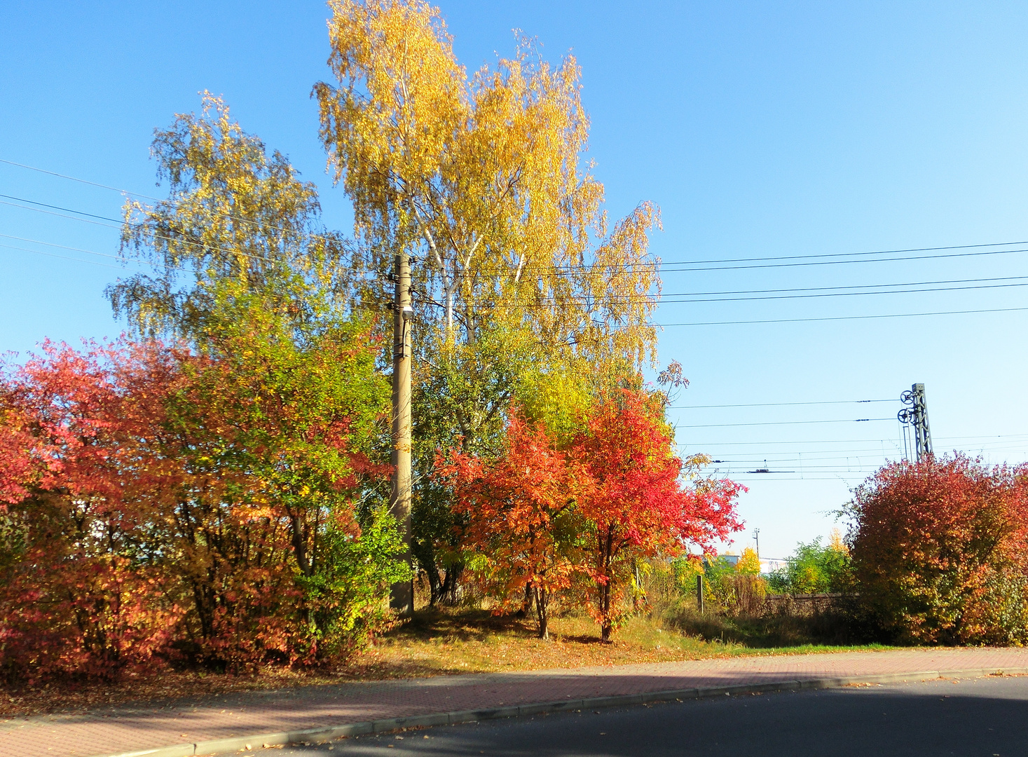 Herbstfarben in Rackwitz