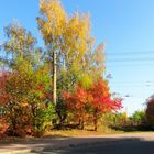 Herbstfarben in Rackwitz