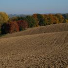 Herbstfarben in Ratingen Homberg