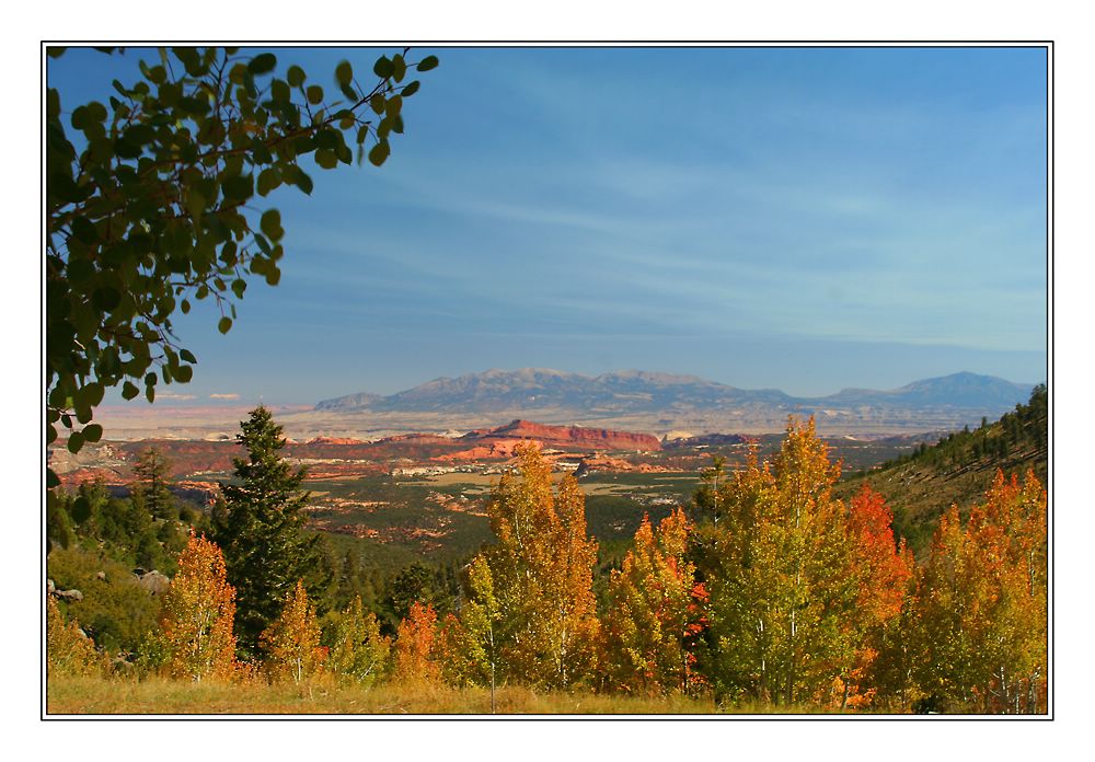 Herbstfarben in Utah