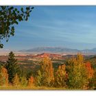 Herbstfarben in Utah