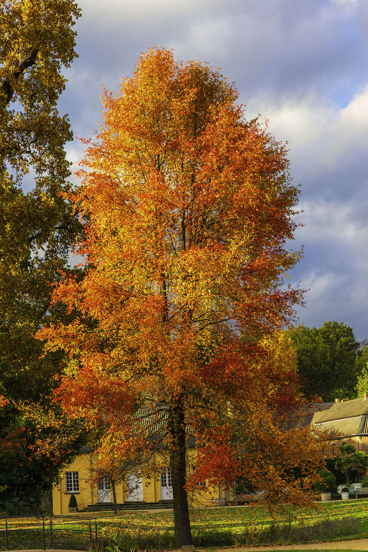 Herbstfarben in vollem Sonnenschein