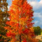 Herbstfarben in vollem Sonnenschein