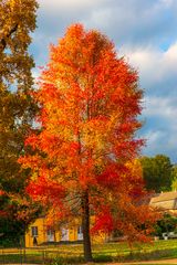 Herbstfarben in vollem Sonnenschein